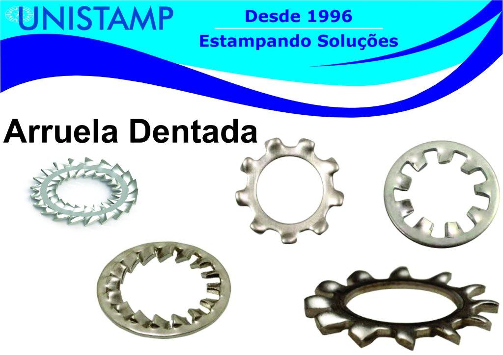 Arruela dentada inox 316